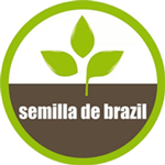 Semilla de Brazil